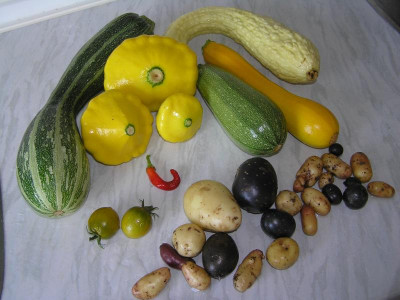 ernte180711.jpg