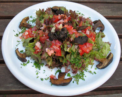 IMG_3448_Salat_mit_Waldpilzen.jpg