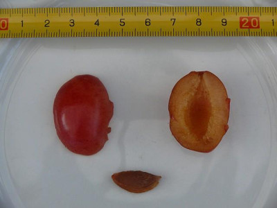 b1807705_640.jpg