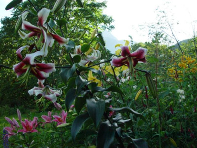 K640_DSC02754.JPG