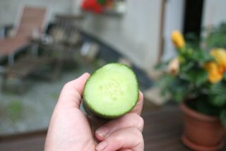 IMG_9510_G.jpg