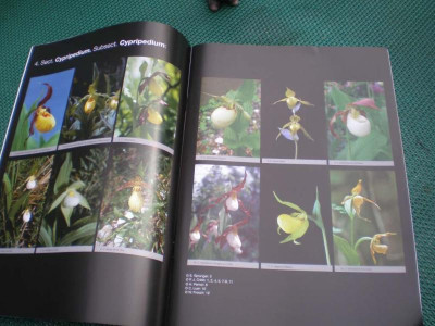 GP_Schweizerische_Orchideen_Zeitschrift_2_2011e.jpg