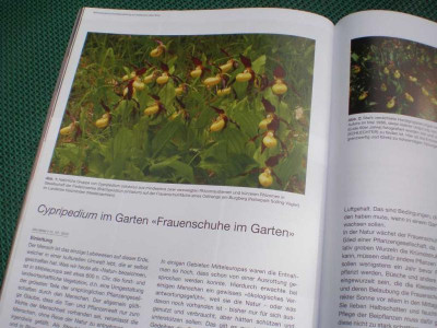 GP_Schweizerische_Orchideen_Zeitschrift_3_2011e.jpg