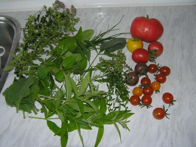 ernte200711.jpg