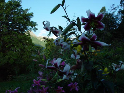 K640_DSC02758.JPG