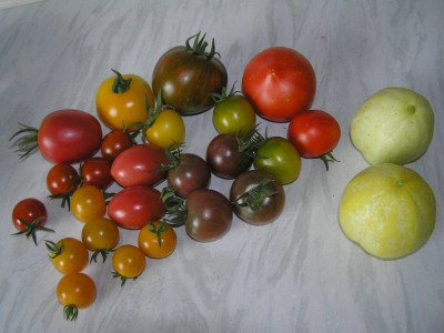 ernte220711.jpg
