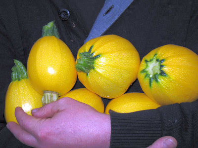IMG_3074_Ernte_am_22.7.2011.jpg