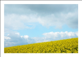 Raps-odie_in_Blau-Weiss-Gelb_-_bergab_08-05-05.jpg