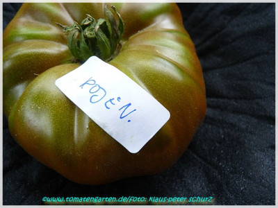 Roje_Negra_de_Lucas_2011_Fruit09.JPG