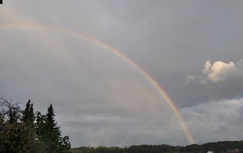 Regenbogen_0011__8780.jpg