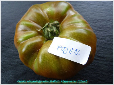Roja_Negra_de_Lucas_01.JPG
