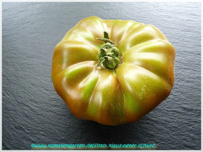 Roje_Negra_de_Lucas_2011_Fruit01.JPG