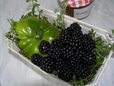 ernte230711.jpg