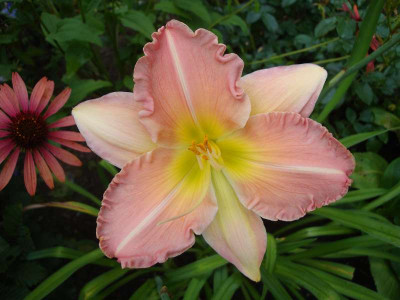k-Uerdinger_Charme_23.07.2011_025.jpg