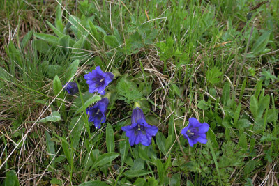 Bad_Gastein0211.jpg