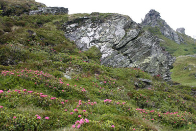 Bad_Gastein0711.jpg