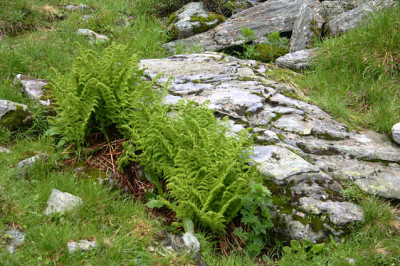 Bad_Gastein0911.jpg
