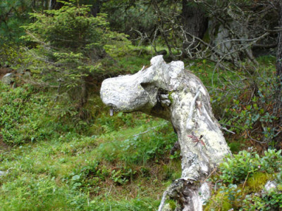drachegrawand.jpg