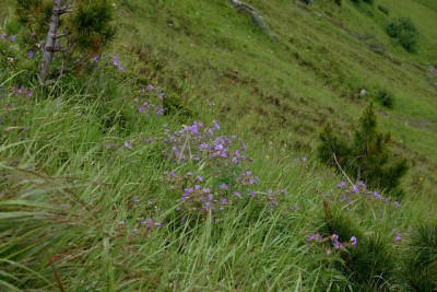 Bad_Gastein1711.jpg