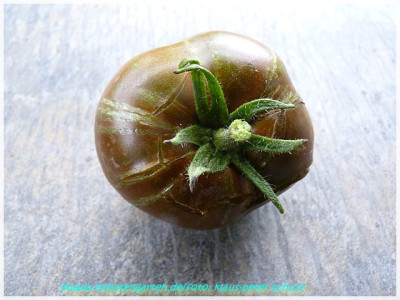 Noire_de_Crimee_2011_Fruit02.JPG