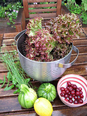 IMG_3438_Ernte_am_24.7.2011.jpg