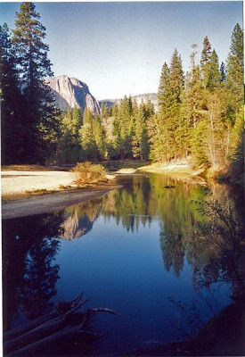 Yosemiti_Medium.jpg