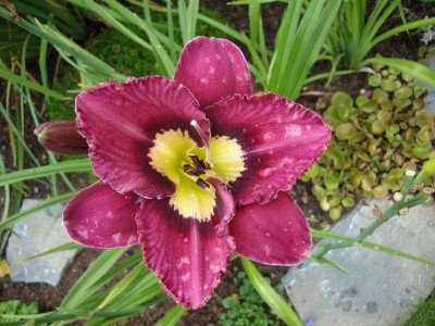 k-24.07.2011_014.jpg