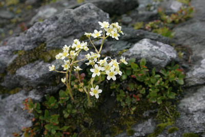 Bad_Gastein2511.jpg