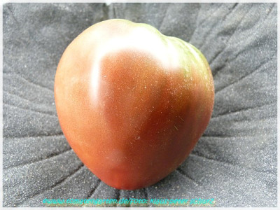 Brads_Black_Heart_2011_Fruit02.JPG