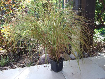 DSCF4508.jpg
