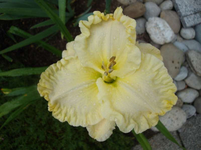 k-Boundless_Beauty_26.07.2011_002.jpg