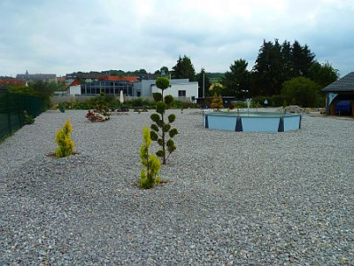 Kies_pur_P10205251.jpg