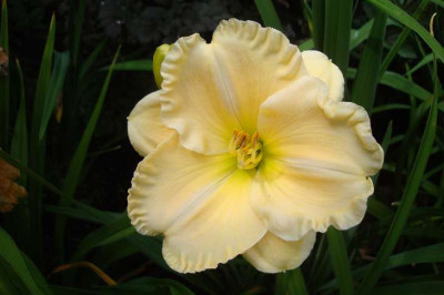 Ultimate_Perfection_29.07.2011.jpg