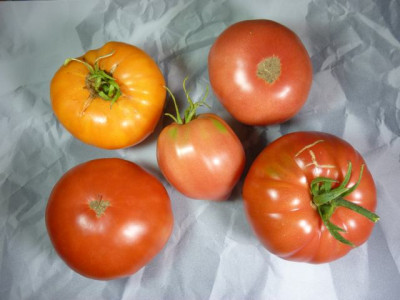 ernte_29_07.jpg