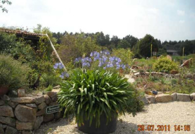 DSCN7097.jpg