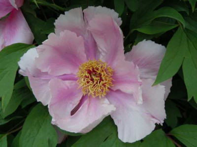 DSCN0136.JPG