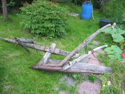 Pflug-axel.jpg