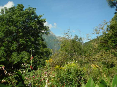 K640_DSC02794.JPG