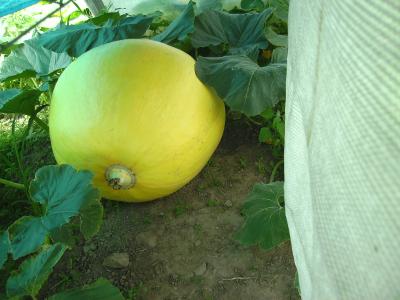 groessterAG.jpg