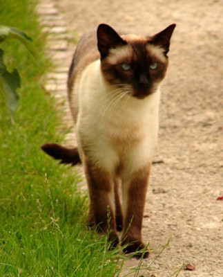 DSC08053.jpg