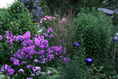 Gartenimpressionen5211.jpg