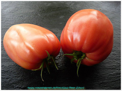 Reif_Red_Heart_2011_Fruit5.jpg