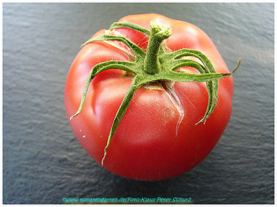 Sewernaja_Krasawica_2011_Fruit1.jpg