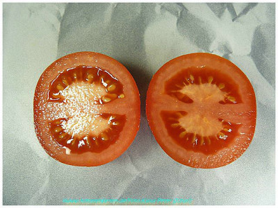 Iris_2011_Sliced.jpg