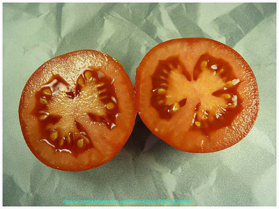 Korrida_2011_Sliced1.jpg