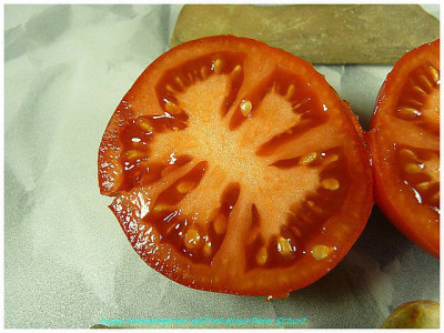 Varenblad_2011_Sliced2.jpg