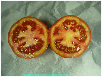 Cluster_Grande_2011_Sliced1.jpg