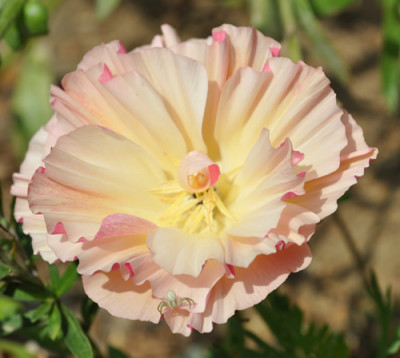 Schlafmuetzchen_0011__9052.jpg