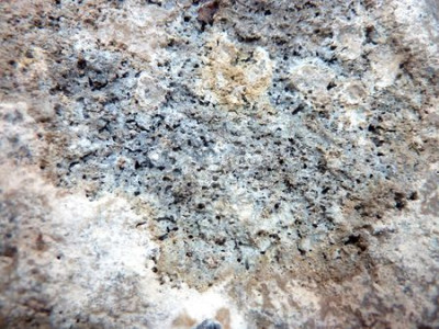 raetselhafter_Stein_4_fars_2011.jpg
