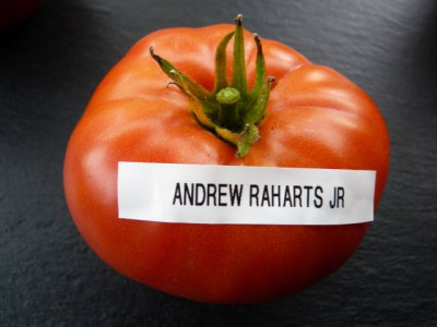 To_Andrew_Raharts_Jumbo_Red.jpg